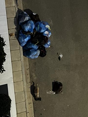 Φωτογραφία 2